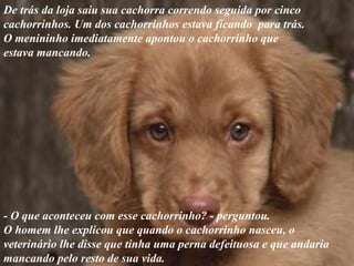 De trás da loja saiu sua cachorra correndo seguida por cinco
cachorrinhos. Um dos cachorrinhos estava ficando para trás.
O menininho imediatamente apontou o cachorrinho que
estava mancando.




- O que aconteceu com esse cachorrinho? - perguntou.
O homem lhe explicou que quando o cachorrinho nasceu, o
veterinário lhe disse que tinha uma perna defeituosa e que andaria
mancando pelo resto de sua vida.
 