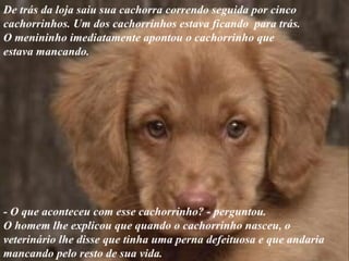 Amigonaotemdefeito 1