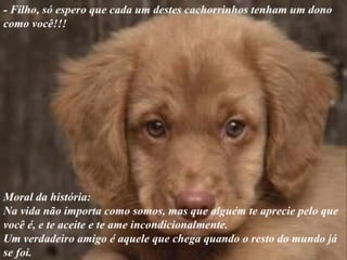 Amigonaotemdefeito 1