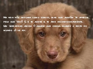 Na vida não importa como somos, mas que alguém te aprecie pelo que você é, e te aceite e te ame incondicionalmente.  Um verdadeiro amigo é aquele que chega quando o resto do mundo já se foi.   