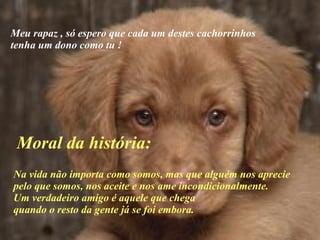 Meu rapaz , só espero que cada um destes cachorrinhos tenha um dono como tu ! Na vida não importa como somos, mas que alguém nos aprecie  pelo que somos, nos aceite e nos ame incondicionalmente.  Um verdadeiro amigo é aquele que chega  quando o resto da gente já se foi embora.  Moral da história:  
