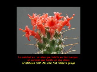La amistad es  un alma que habita en dos cuerpos; un corazón que habita en dos almas. Aristóteles (384 AC-322 AC) Filósofo griego  