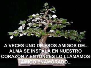 A VECES UNO DE ESOS AMIGOS DEL ALMA SE INSTALA EN NUESTRO CORAZÓN Y ENTONCES LO LLAMAMOS  AMIGO ENAMORADO... 
