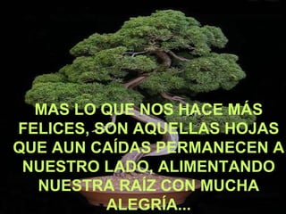 MAS LO QUE NOS HACE MÁS FELICES, SON AQUELLAS HOJAS QUE AUN CAÍDAS PERMANECEN A NUESTRO LADO, ALIMENTANDO NUESTRA RAÍZ CON MUCHA ALEGRÍA... 