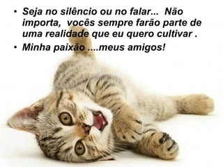 Seja no silêncio ou no falar...  Não importa,  vocês sempre farão parte de uma realidade que eu quero cultivar . Minha paixão ....meus amigos!    