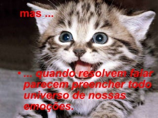 mas ... ... quando resolvem falar parecem preencher todo universo de nossas emoções.   