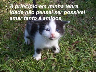 A princípio em minha tenra idade não pensei ser possível amar tanto à amigos,   