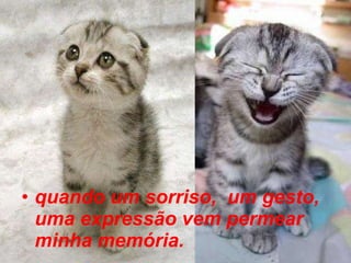 quando um sorriso,  um gesto,  uma expressão vem permear minha memória.   