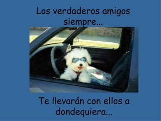 Los verdaderos amigos siempre... Te llevarán con ellos a dondequiera... 