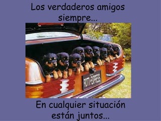 Los verdaderos amigos siempre... En cualquier situación están juntos... 