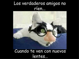 Los verdaderos amigos no ríen... Cuando te ven con nuevos lentes… 