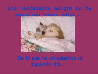 Los verdaderos amigos no te permiten hacer algo... De lo que te arrepientas al siguiente día...  