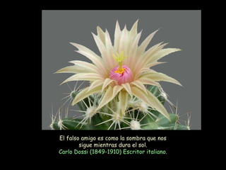 El falso amigo es como la sombra que nos sigue mientras dura el sol. Carlo Dossi (1849-1910) Escritor italiano.  