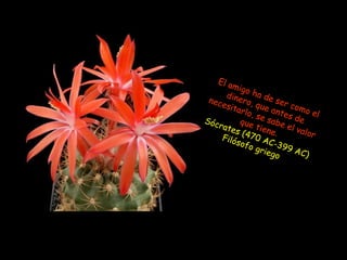 El amigo ha de ser como el dinero, que antes de necesitarlo, se sabe el valor que tiene. Sócrates (470 AC-399 AC)  Filósofo griego  