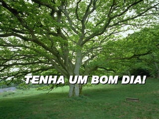 TENHA UM BOM DIA! 