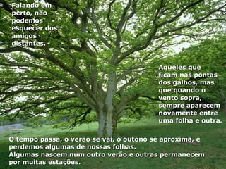 Aqueles que  ficam nas pontas dos galhos, mas que quando o vento sopra, sempre aparecem novamente entre uma folha e outra. O tempo passa, o verão se vai, o outono se aproxima, e perdemos algumas de nossas folhas. Algumas nascem num outro verão e outras permanecem por muitas estações.  Falando em perto, não podemos esquecer dos amigos distantes.  