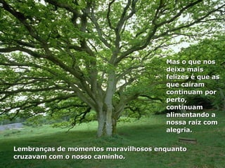 Lembranças de momentos maravilhosos enquanto cruzavam com o nosso caminho. Mas o que nos deixa mais felizes é que as que caíram continuam por perto, continuam alimentando a nossa raiz com alegria.  