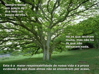Esta é a  maior responsabilidade de nossa vida e a prova evidente de que duas almas não se encontram por acaso. Há os que levaram muito, mas não há os que não deixaram nada.  Sempre deixa um pouco de si e leva um pouco de nós. 