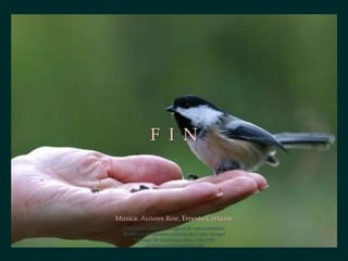 F I N



Música: Autumn Rose, Ernesto Cortázar
  Concepto y creación original de autor anónimo
  Reedición de formato cortesía de Carlos Rangel
      Santiago de Querétaro, Mex. Abr.2008
           carlitosrangel@hotmail.com
 