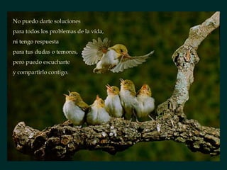 No puedo darte soluciones
para todos los problemas de la vida,
ni tengo respuesta
para tus dudas o temores,
pero puedo escucharte
y compartirlo contigo.
 