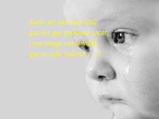 Suele ser aún más leal,  que los que podemos   tocar,  ¡¡ese amigo entrañable,  que te sabe valorar …!!  