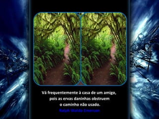   Vá frequentemente à casa de um amigo,  pois as ervas daninhas obstruem o caminho não usado. Ralph Waldo Emerson 