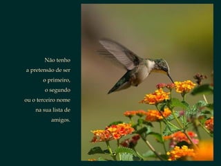 Não tenhoNão tenho
a pretensão de sera pretensão de ser
o primeiro,o primeiro,
o segundoo segundo
ou o terceiro nomeou o terceiro nome
na sua lista dena sua lista de
amigos.amigos.
 