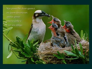 Não posso lhe dizer quem éNão posso lhe dizer quem é
ou quem deveria ser,ou quem deveria ser,
apenas possoapenas posso
amá-lo como éamá-lo como é
e ser seu amigo.e ser seu amigo.
 