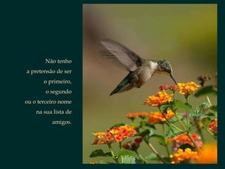 Não tenho a pretensão de ser o primeiro, o segundo ou o terceiro nome na sua lista de amigos. 