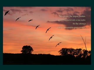 Não posso lhe impor limites  que circunscrevam a sua ação. Só lhe ofereço espaço necessário para crescer. 
