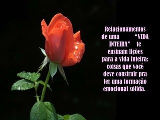 Relacionamentos de uma  “VIDA INTEIRA”  te ensinam lições para a vida inteira: coisas que você deve construir pra ter uma formação emocional sólida.  