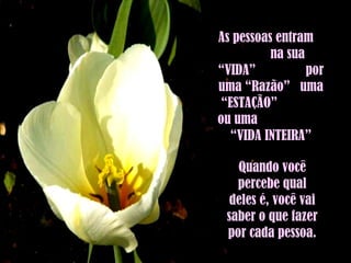 As pessoas entram  na sua “VIDA”  por uma “Razão”  uma “ESTAÇÃO”  ou uma  “VIDA INTEIRA” Quando você percebe qual deles é, você vai saber o que fazer por cada pessoa. 