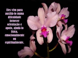 Eles vêm para auxiliá-lo numa dificuldade fornecer orientação e apoio, ajudá-lo física, emocionalmente ou espiritualmente. 