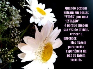 Quando pessoas entram em nossas “VIDAS” por uma “ESTAÇÃO”  é porque chegou sua vez de dividir, crescer e aprender.  Eles trazem para você a experiência da paz ou fazem você rir. 