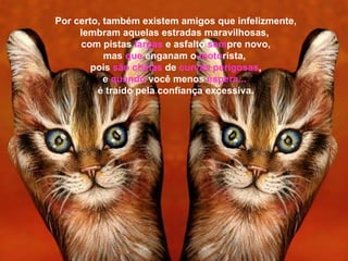 Por certo, também existem amigos que infelizmente, lembram aquelas estradas maravilhosas,  com pistas  largas   e asfalto  sem pre novo, mas  que  enganam o  moto rista,  pois  são cheias  de  curvas perigosas , e  quando  você menos  espera...   é traído pela confiança excessiva. 