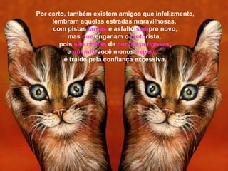 Por certo, também existem amigos que infelizmente, lembram aquelas estradas maravilhosas,  com pistas  largas   e asfalto  sem pre novo, mas  que  enganam o  moto rista,  pois  são cheias  de  curvas perigosas , e  quando  você menos  espera...   é traído pela confiança excessiva. 