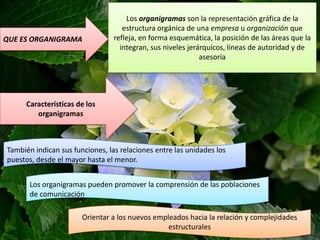 QUE ES ORGANIGRAMA

Los organigramas son la representación gráfica de la
estructura orgánica de una empresa u organización que
refleja, en forma esquemática, la posición de las áreas que la
integran, sus niveles jerárquicos, líneas de autoridad y de
asesoría

Características de los
organigramas

También indican sus funciones, las relaciones entre las unidades los
puestos, desde el mayor hasta el menor.
Los organigramas pueden promover la comprensión de las poblaciones
de comunicación
Orientar a los nuevos empleados hacia la relación y complejidades
estructurales

 