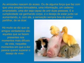 As amizades nascem do acaso. Ou de alguma força que faz com que uma simples brincadeira, uma informação, um caderno emprestado, uma dor seja capaz de unir duas pessoas. E a cumplicidade vai ganhando corpo, e o desejo de estar junto vai aumentando, e, com ele, a sensação sempre boa do poder partilhar, de se doar. Há muito se diz que os amigos verdadeiros são aqueles que se fazem presentes nos momentos mais difíceis da vida, naqueles momentos em que a dor parece querer superar o desejo de viver.  