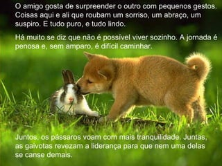 O amigo gosta de surpreender o outro com pequenos gestos. Coisas aqui e ali que roubam um sorriso, um abraço, um suspiro. E tudo puro, e tudo lindo. Há muito se diz que não é possível viver sozinho. A jornada é penosa e, sem amparo, é difícil caminhar. Juntos, os pássaros voam com mais tranquilidade. Juntas, as gaivotas revezam a liderança para que nem uma delas se canse demais.  