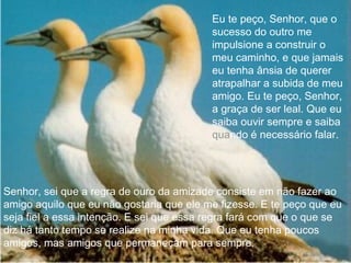 Eu te peço, Senhor, que o sucesso do outro me impulsione a construir o meu caminho, e que jamais eu tenha ânsia de querer atrapalhar a subida de meu amigo. Eu te peço, Senhor, a graça de ser leal. Que eu saiba ouvir sempre e saiba  qua ndo é necessário falar. Senhor, sei que a regra de ouro da amizade consiste em não fazer ao amigo aquilo que eu não gostaria que ele me fizesse. E te peço que eu seja fiel a essa intenção. E sei que essa regra fará com que o que se diz há tanto tempo se realize na minha vida. Que eu tenha poucos amigos, mas amigos que permaneçam para sempre.  