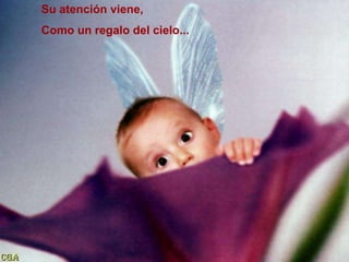 Su atención viene, Como un regalo del cielo...