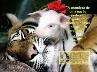 "A grandeza de
        uma nação
         pode ser
       julgada pelo
      modo que seus
       animais são
        tratados.“
          - Mahatma
            Gandhi


           Música :
101 Strings - Beautiful Dreamer
         Formatação:
 maricarusocunha@pranos.com.br
 www.pranos.com.br
 