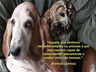 "Aquele que conhece
verdadeiramente os animais é por
     isso mesmo capaz de
   compreender plenamente o
   caráter único do homem."
        (Konrad Lorenz)
 