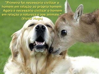 "Primeiro foi necessário civilizar o
homem em relação ao próprio homem.
 Agora é necessário civilizar o homem
em relação a natureza e aos animais."
             (Victor Hugo)
 