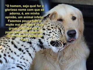 "O homem, seja qual for o
glorioso nome com que se
   adorna, é, em minha
opinião, um animal infeliz.
  Fazemos pouco bem e
muito mal e, o que é mais
   grave, fazemos mal o
pouco bem que fazemos.“
 (Jean Baptiste Alphonse
            Karr)
 