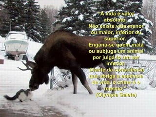 "A vida é valor
       absoluto.
Não existe vida menor
 ou maior, inferior ou
       superior.
Engana-se quem mata
ou subjuga um animal
  por julgá-lo um ser
        inferior.
Diante da consciência
que abriga a essência
 da vida, o crime é o
       mesmo."
   (Olympia Salete)
 