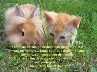 "Todas as coisas da criação são filhos do Pai e
irmãos do homem... Deus quer que ajudemos aos
        animais, se necessitam de ajuda.
Toda criatura em desgraça tem o mesmo direito a
                  ser protegida.“
             - São Francisco de Assis
 