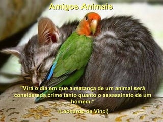 "Virá o dia em que a matança de um animal será"Virá o dia em que a matança de um animal será
considerada crime tanto quanto o assassinato de umconsiderada crime tanto quanto o assassinato de um
homem.“homem.“
(Leonardo da Vinci)(Leonardo da Vinci)
Amigos AnimaisAmigos Animais
 