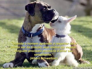 "Quando o homem aprender a respeitar até o"Quando o homem aprender a respeitar até o
menor ser da criação, seja animal ou vegetal,menor ser da criação, seja animal ou vegetal,
ninguém precisará ensiná-lo a amar seuninguém precisará ensiná-lo a amar seu
semelhante.“semelhante.“
(Albert Schweitzer)(Albert Schweitzer)
 