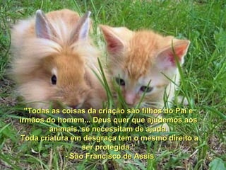 "Todas as coisas da criação são filhos do Pai e"Todas as coisas da criação são filhos do Pai e
irmãos do homem... Deus quer que ajudemos aosirmãos do homem... Deus quer que ajudemos aos
animais, se necessitam de ajuda.animais, se necessitam de ajuda.
Toda criatura em desgraça tem o mesmo direito aToda criatura em desgraça tem o mesmo direito a
ser protegida.“ser protegida.“
- São Francisco de Assis- São Francisco de Assis
 